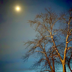 you are what you make it of