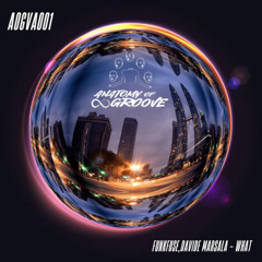 DAVIDE MARSALA,FUNKFUSE - WHAT [FREE DOWNLOAD]