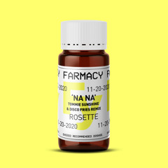 Na Na (Tommie Sunshine & Disco Fries Extended Mix)