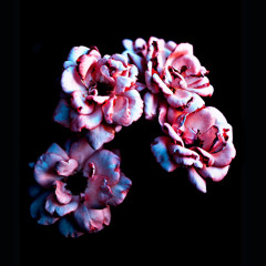 Where im from(prod.JIJ)