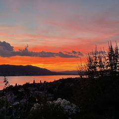 Ein Paar Melodien - A Melodic Techno Mix