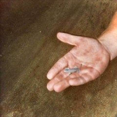 Demo - 71621, 7.38 PM - Balanced - Medium - REV V1