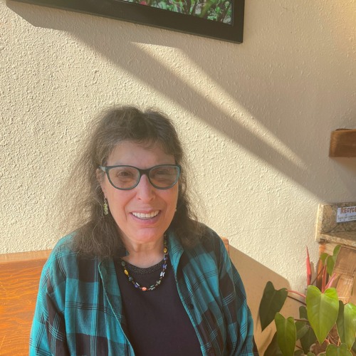 Stream Alice Rogoff talks about the Haight Ashbury Literary Journal by