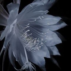 tcstcstcstcstsctscts