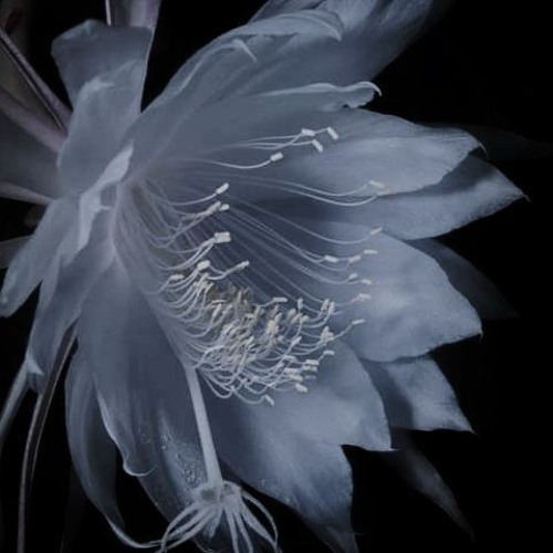 tcstcstcstcstsctscts