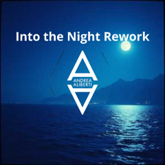 Into the Night Rework