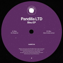 B1. Pandilla LTD - Bleu (Dan Andrei Remix)