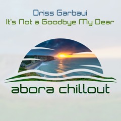 Driss Garbaui - Its Not A Goodbye My Dear