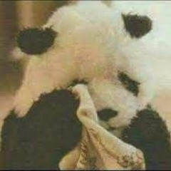 I dont wanna - yunpanda (demo)