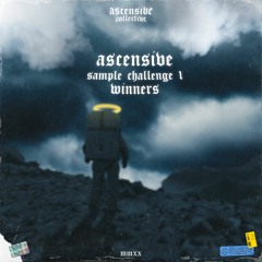 Ascensive Sample Challenge ✨ Winners