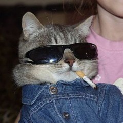 [FREE] SKI MASK THE SLUMP GOD x COMETHAZINE TYPE BEAT - "SLAMMER"