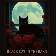 Black Cat in the Barn