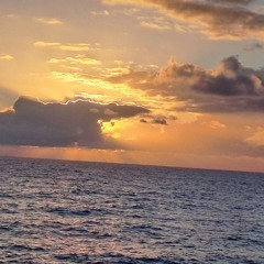 Люди Cover sonchikeslicho x yanamartin.n