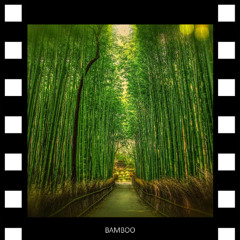 Bamboo