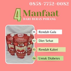 Hubungi : 0858-7752-0082, Distributor nasi organik Purworejo