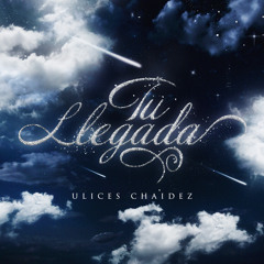 Tu Llegada