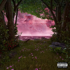 Case (Bonus track)