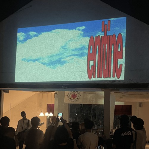 lake for swans - enitine (acoustic version)