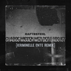 Haftbefehl - Chabos wissen wer der Babo ist [Kriminelle Ente Remix]