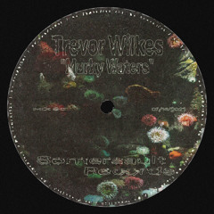 Somersault Mix 90 (Trevor Wilkes) “Murky Waters”