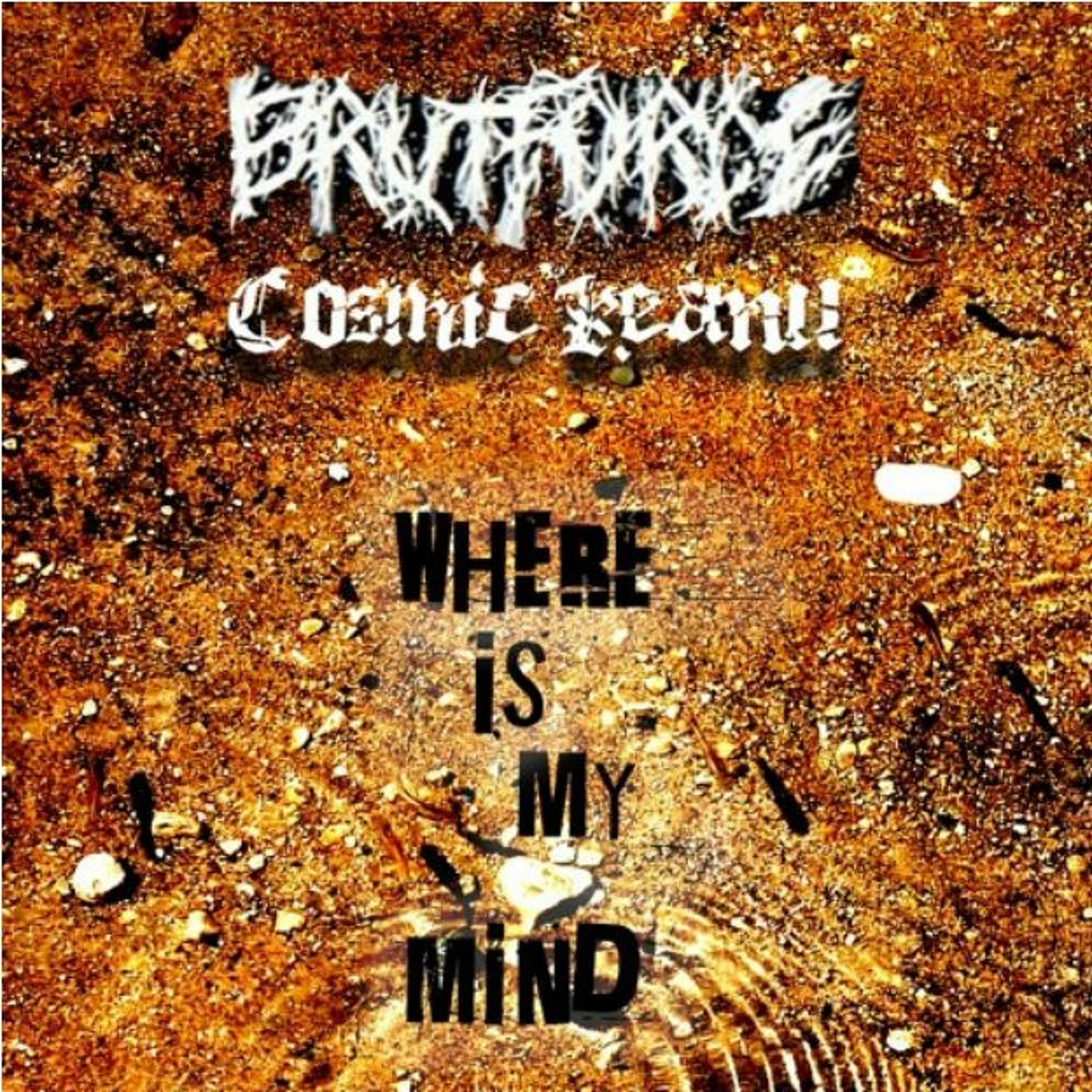 Brutfxrce