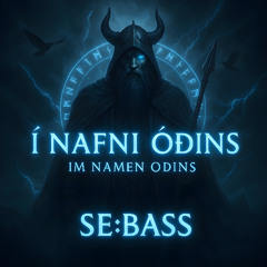 Im Namen Odins