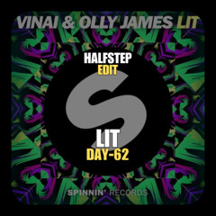 VINAI, Olly James X Jaxx & Vega, KEVU - LIT Raverzone (HALFSTEP Edit)