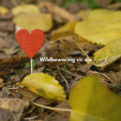 InVia Sondag Boodskappe