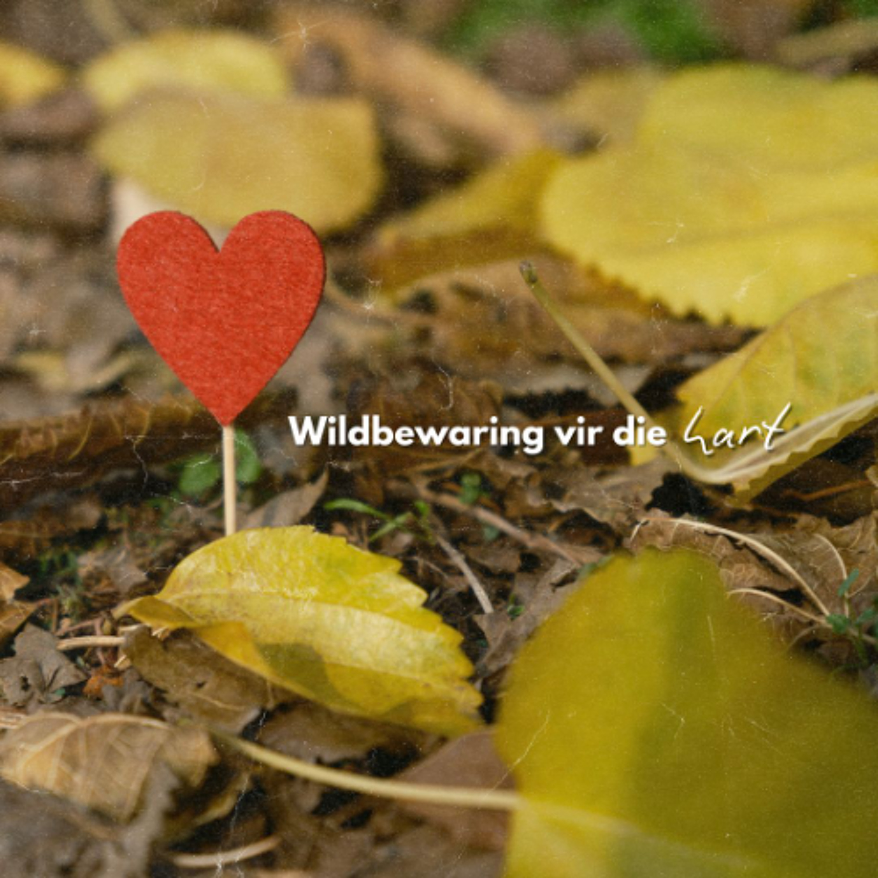 Wildbewaring vir die hart deur Deon Meiring