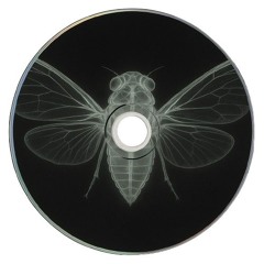 Bones Like Churches | Minimal Fast Techno
