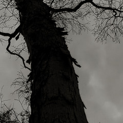 To remind you that you're alive