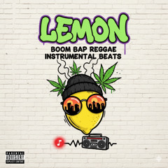 Dub Poetry Flow - Boom Bap Instrumental Beat