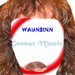 Geemax - Waunsinn (Wolfgang Petry Wahnsinn Cover auf Wienerisch)