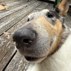 the world is falling apart but there is still beauty to be found in the boundless realms of human perception