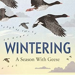 READ KINDLE PDF EBOOK EPUB Wintering: A Season With Geese by  Stephen Rutt 📦