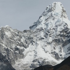 wlr114 Glåsbird - Himalaya