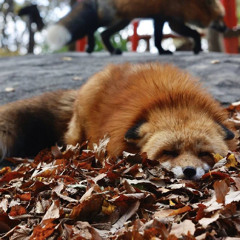 344-realize ( part II )