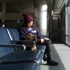 we could watch the trees