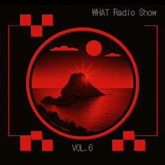 WHAT Radio Show Vol.6 | 2025 June Tech-House Recap | Whatif