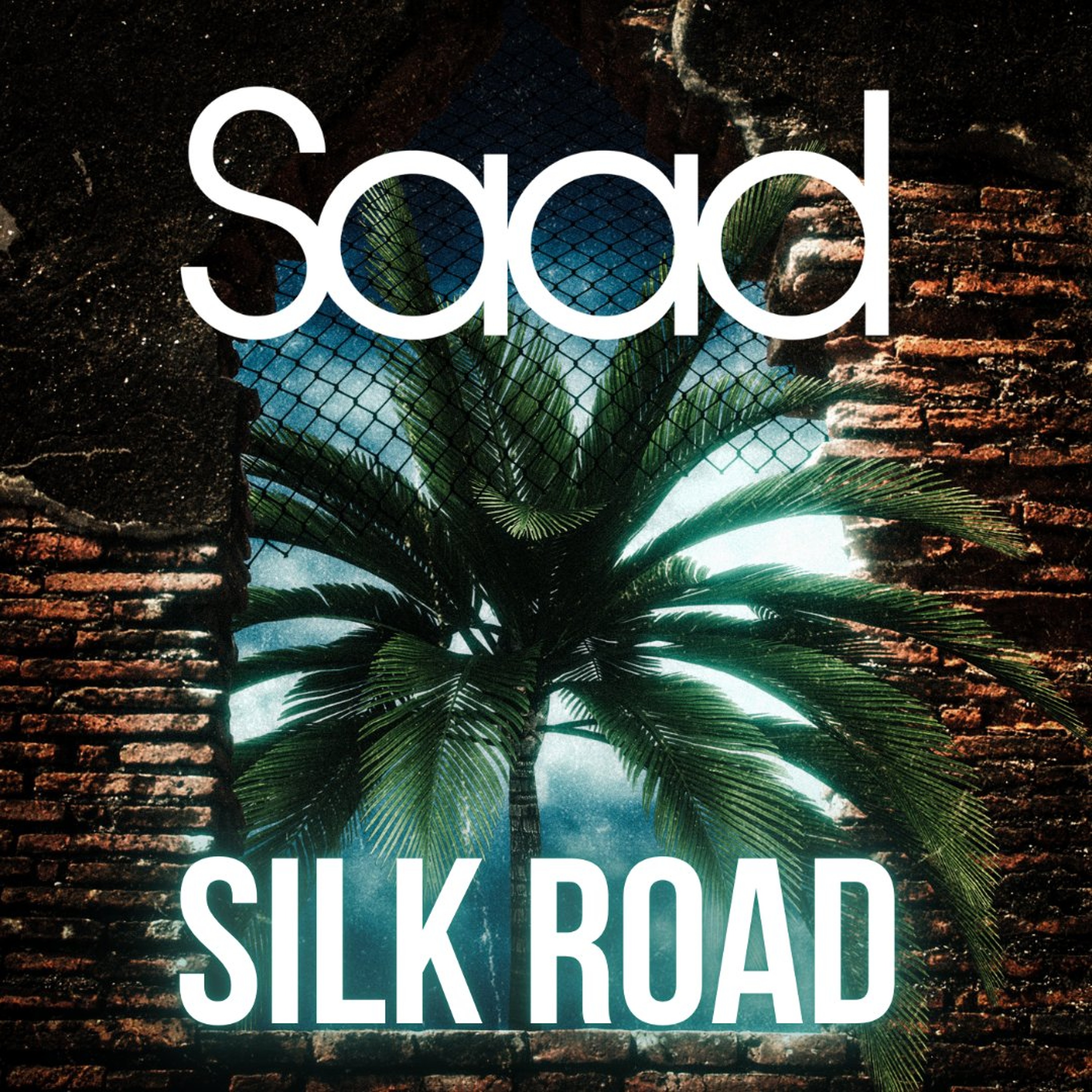 Silk Road episode artwork