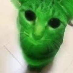 11.9.16, alien touch diary entry