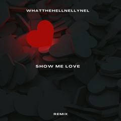 Sam Feldt - Show me love (WhatthehellNellynel remix)