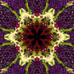 Great Fairy Fountain Parcae Remix