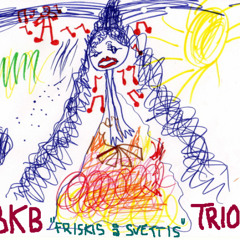 Samp / Tee Bee Project (BKB Trio)