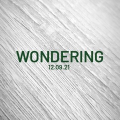 Wondering - L A U R