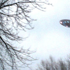 𝒬𝓊𝒶𝓇𝒶𝓃𝓉𝒾𝓃𝑒. (2017)