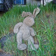 everyday feels like a birthday or smth like that lol