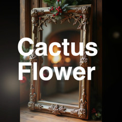 Cactus Flower
