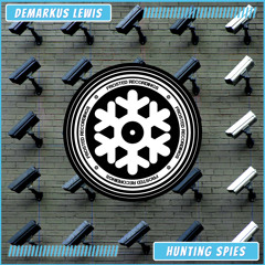Hunting Spies