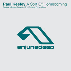 A Sort Of Homecoming (King Roc remix)